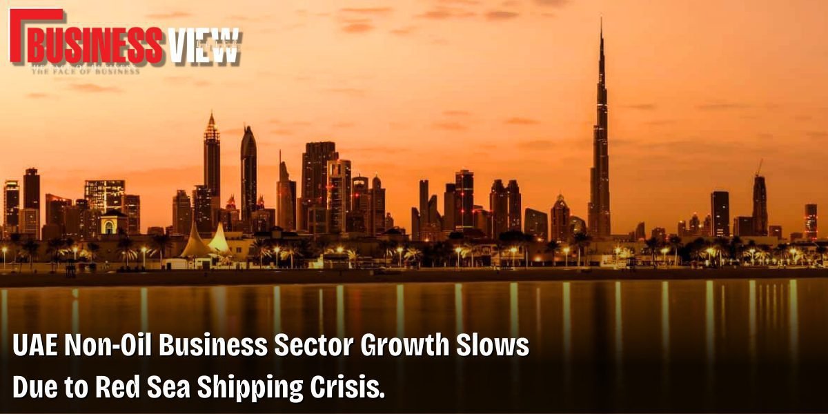 UAE Non-Oil Business Sector Growth Slows Due to Red Sea Shipping Crisis